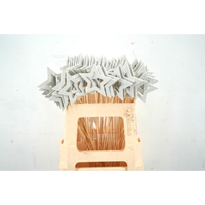 Pick star open d.9cm+50cm stick white glitter