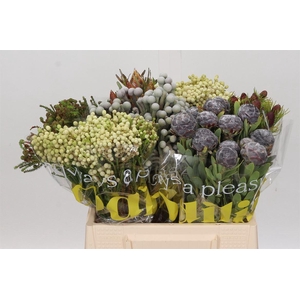 Kaaps Groen Mix In Emmer