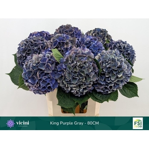 Hydr M Royal King Cl