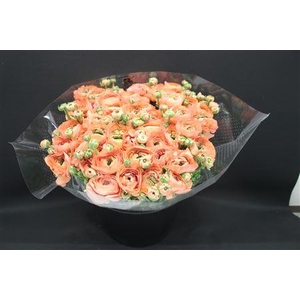 Cloni Super Dea Salmon