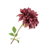 Dahlia Bordeaux Extra FL440041BUR