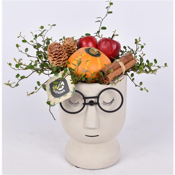 <h4>Arrangementen Sierfruit</h4>