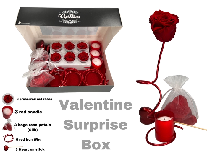 <h4>VALENTINE SURPRISE BOX</h4>