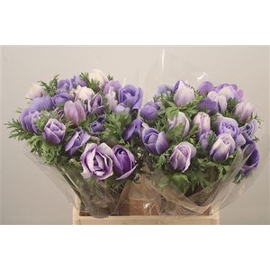 Anem Mistral Azzuro Blue Super