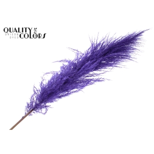 Pampas Grass ± 175cm p/pc in poly Purple