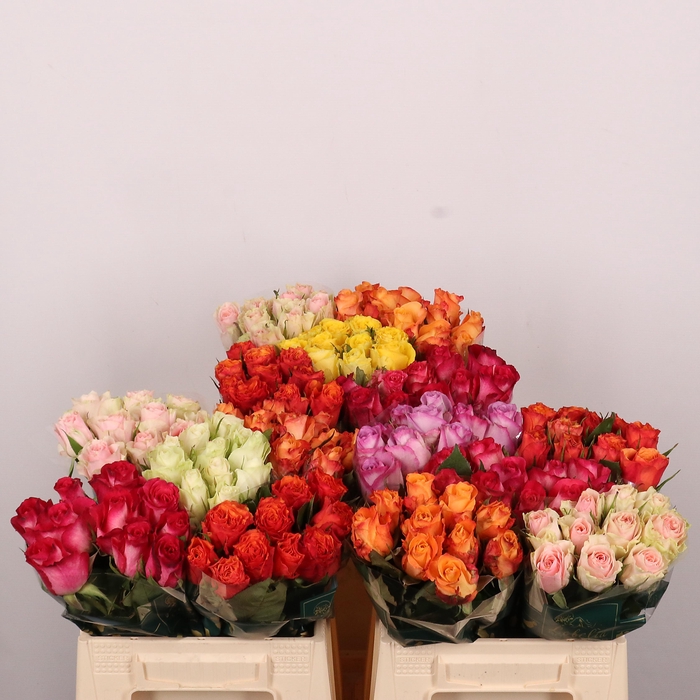 <h4>R GR GEMENGD IN FUST</h4>