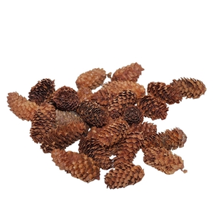 Pine cone Spruce mini 4-5cm 180g