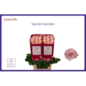 R GR SECRET GARDEN!