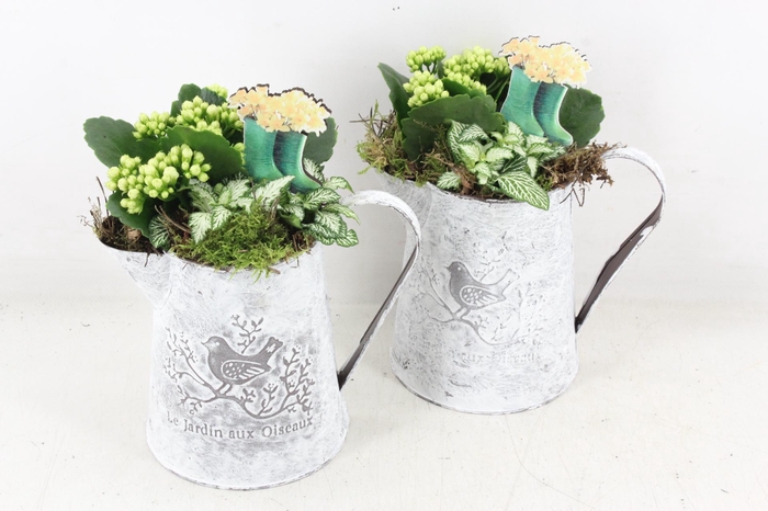 <h4>arr2 TD - Zink kan - wit</h4>