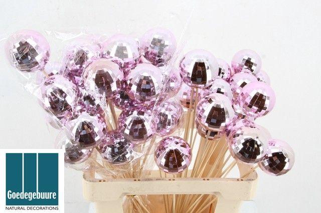 <h4>KERSTBAL OP STOK H%</h4>