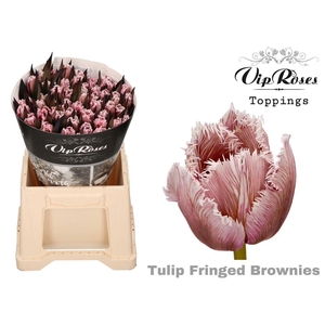 Vip Tu Fr Fringed Brownies