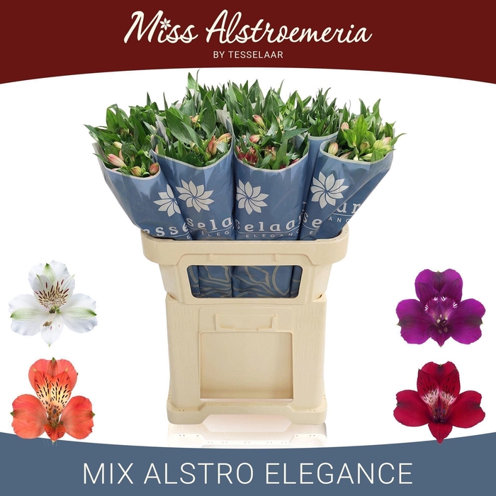 <h4>Alstr Mix in fust</h4>