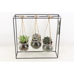 Arr2 Mb - Ijzer Rek 3 Hangbol