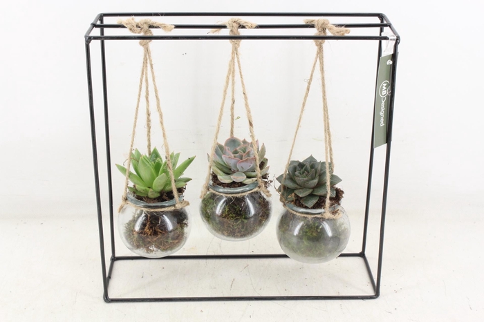 Arr2 Mb - Ijzer Rek 3 Hangbol