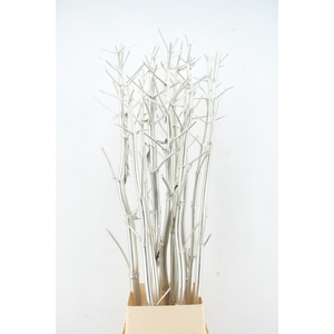 Ferule Kapstok Platinum