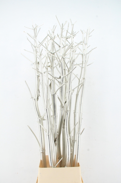 <h4>Ferule Kapstok Platinum</h4>