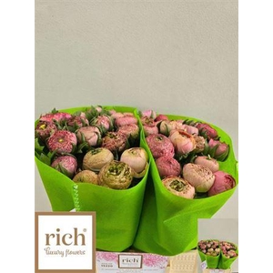 Ran Aazur Antiq Rose