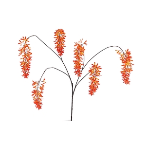 Lilium Hanging Spray Orange