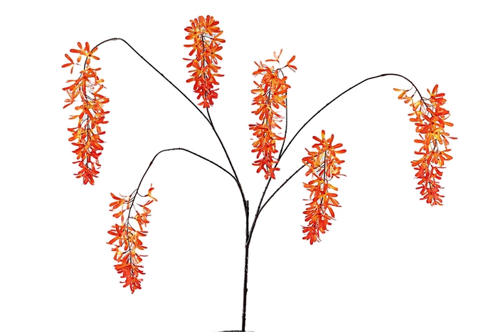 <h4>Lilium Hanging Spray Orange</h4>