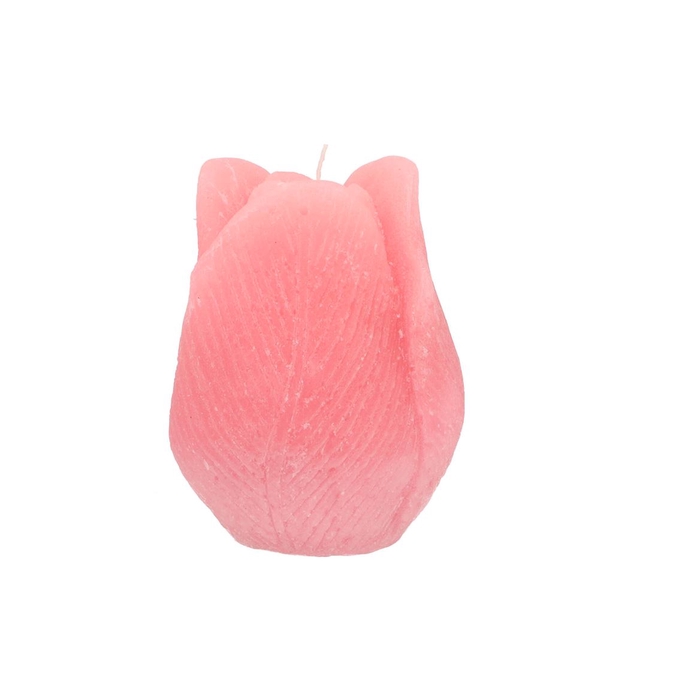 <h4>Candle Tulip Blush Pink 10x13cm</h4>