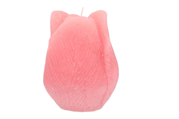 Candle Tulip Blush Pink 10x13cm