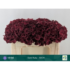HYDR M MAG DARK RUBY