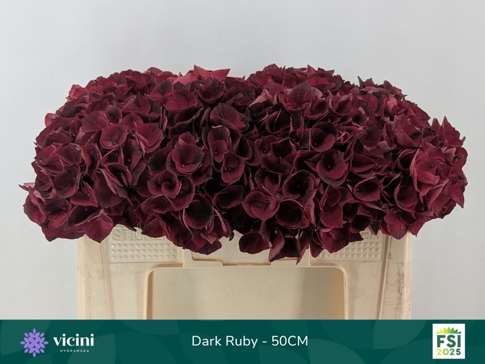 <h4>HYDR M MAG DARK RUBY</h4>