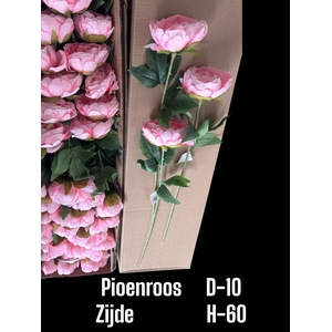 HUIS EN TUINDECO H%