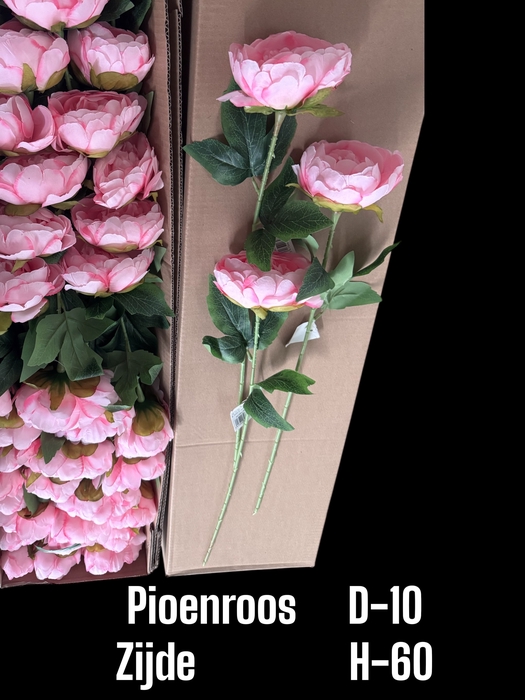 <h4>HUIS EN TUINDECO H%</h4>