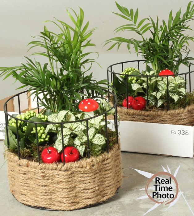 <h4>ARR KAMERPL</h4>