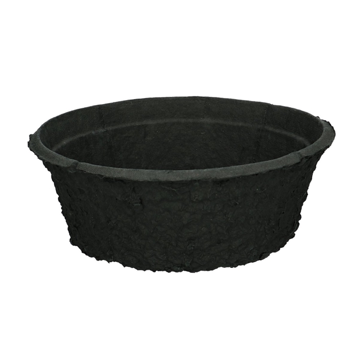 <h4>Oasis Biolit Bowl 26cm</h4>