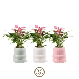 Helsinki Keramiek Zizou