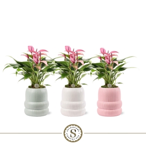 Helsinki Keramiek Zizou