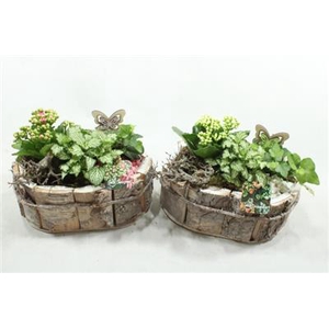 JA306 SCHORS OVAAL INDOOR