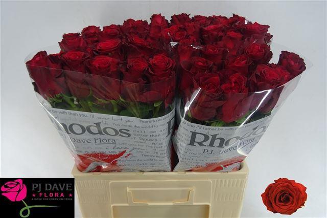 R GR RHODOS