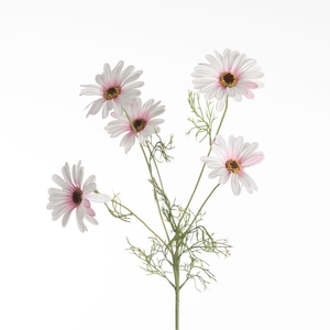 AF Leucan x5 L80cm L.Pink