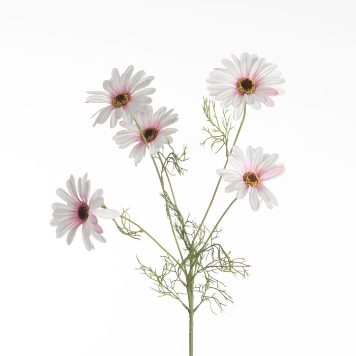 <h4>AF Leucan x5 L80cm L.Pink</h4>