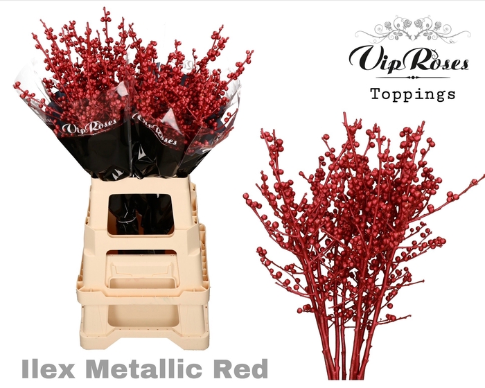 <h4>ILEX METALLIC RED 70 cm</h4>