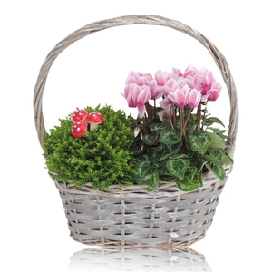 Collectie Anna Arrangement in mand ovaal 23 cm