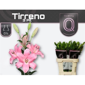 LI LA TIRRENO