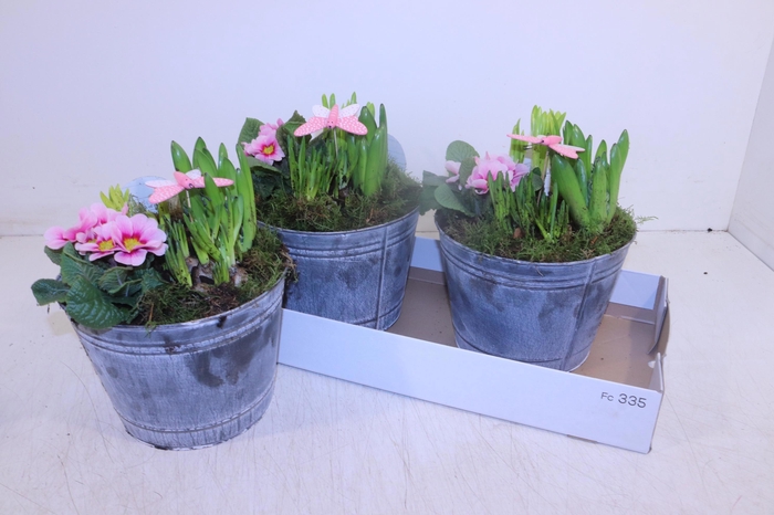 <h4>ARR TUINPLANTEN</h4>