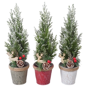 PTK25176 Ellwoodii met sneeuw in zink mix met decoratie