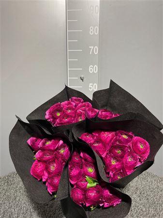 <h4>Ran Suc Cherry Sup</h4>