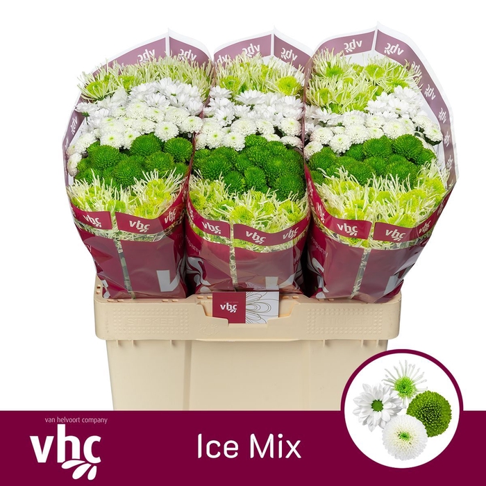<h4>Chr San Mix Icemix Helvoort</h4>