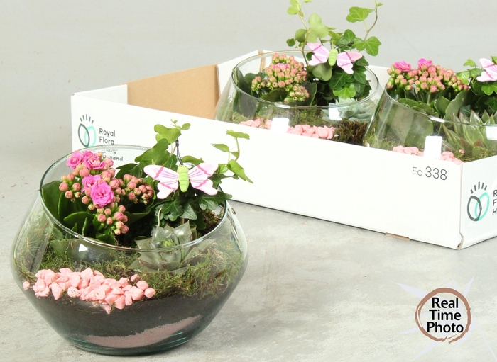 <h4>ARR KAMERPL</h4>