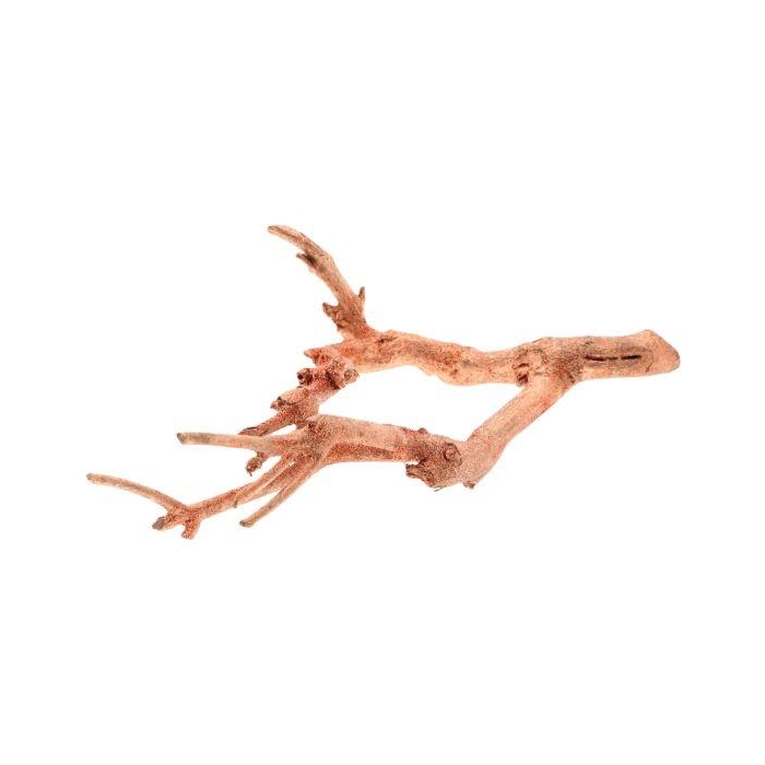 <h4>Curry Bush Glitter</h4>