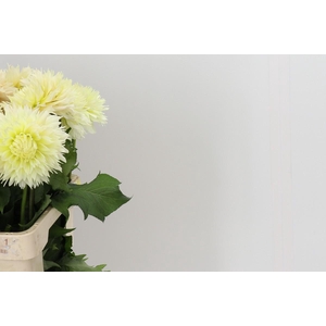 Dahlia Just Married