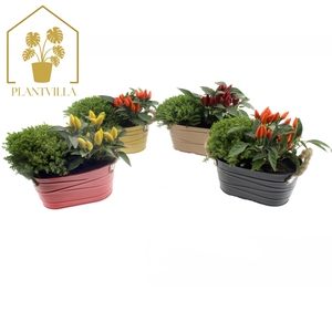 ARR TUINPLANTEN