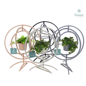 Globe metaal 4 kleuren Large met groene planten