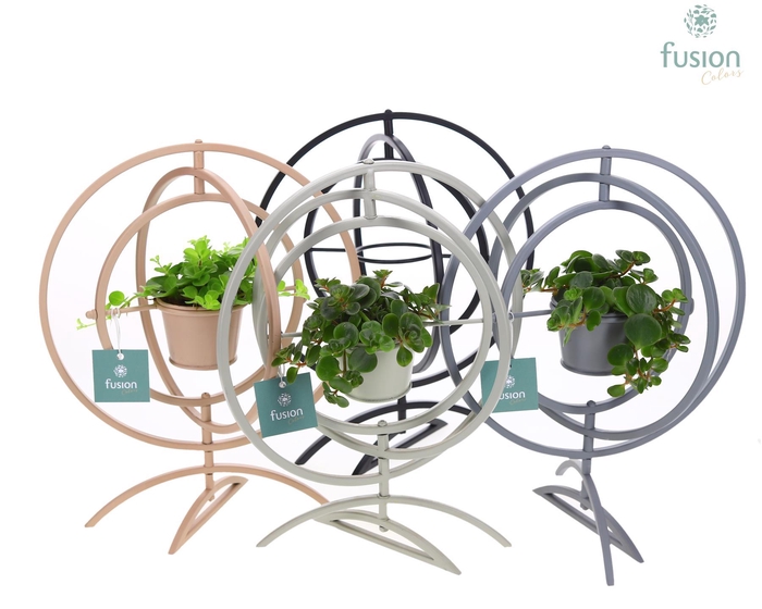 <h4>Globe metaal 4 kleuren Large met groene planten</h4>